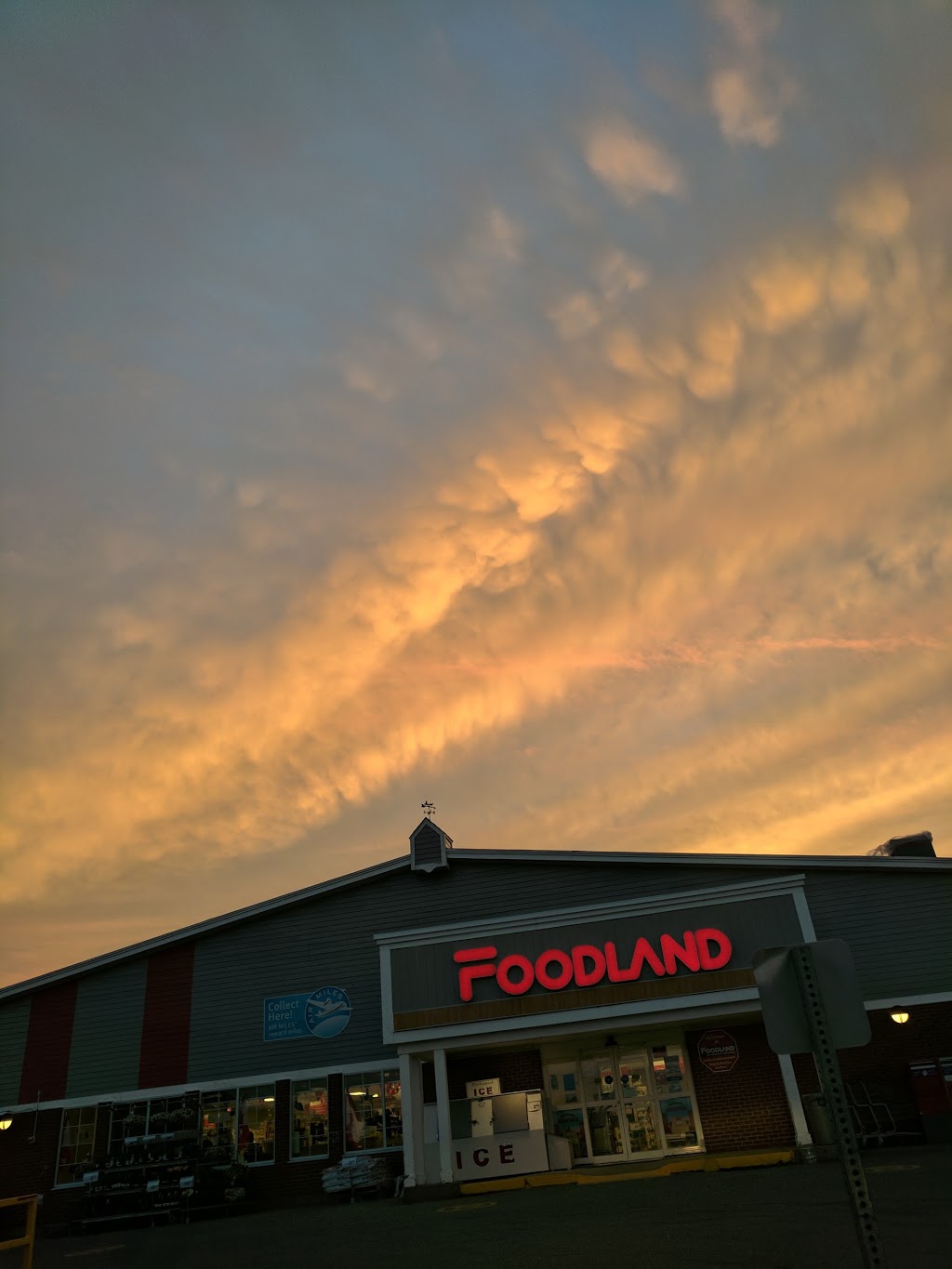 Foodland - Sackville | 11 Wright St, Sackville, NB E4L 4P8, Canada | Phone: (506) 536-0679