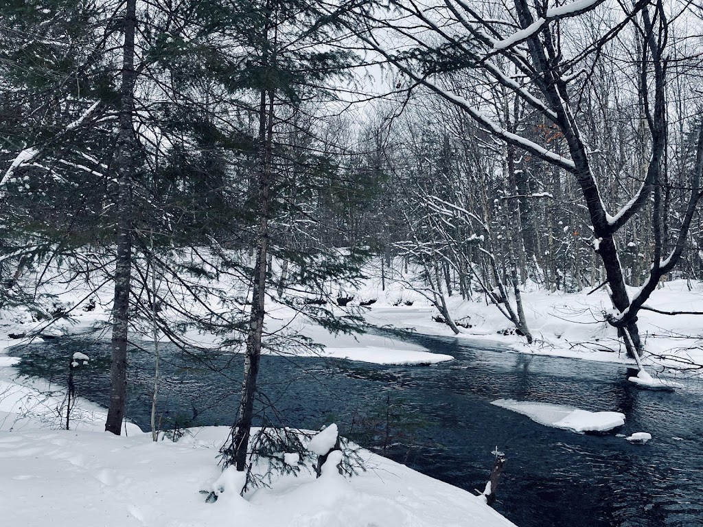 Quartier LOrée des Bois | 1400 Chem. Lucien-Lefrançois, LAnge-Gardien, QC G0A 2K0, Canada | Phone: (418) 473-9860