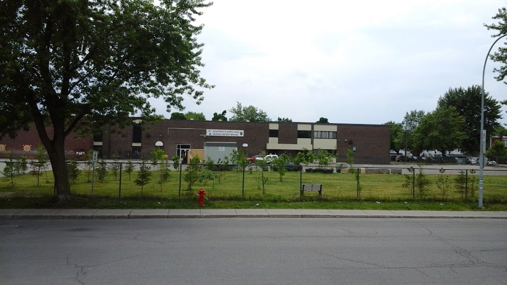 École Terre-Des-Jeunes | 7900 Rue Doyle, LaSalle, QC H8N 0E9, Canada | Phone: (514) 595-2056