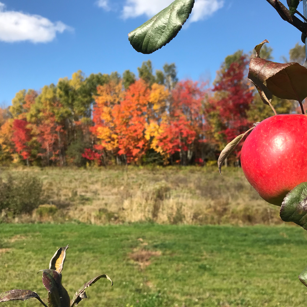 Thiessen Farm Ltd. | 2451 Black Rock Rd, Waterville, NS B0P 1V0, Canada | Phone: (902) 692-1950