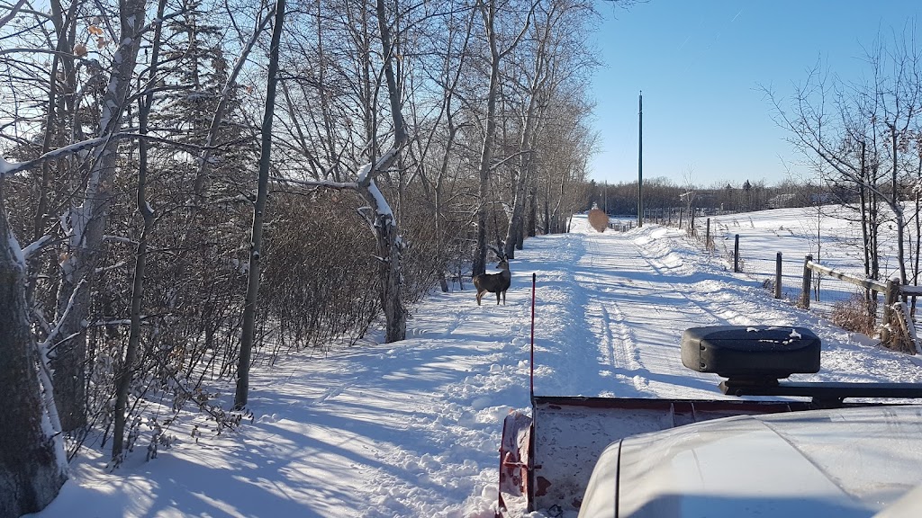 close 2 home snow plowing | 33222 Township Rd 262, Rocky View County, AB T4C 0G6, Canada | Phone: (403) 554-3733