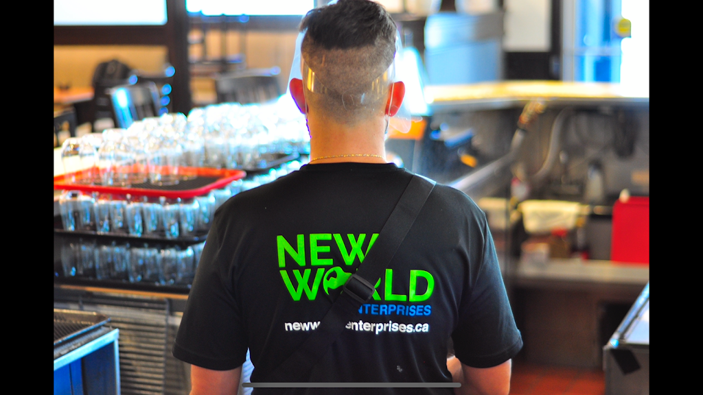 New World Enterprises | 1256 Sandhill Dr Unit 3, Ancaster, ON L9G 4V5, Canada | Phone: (905) 906-7275