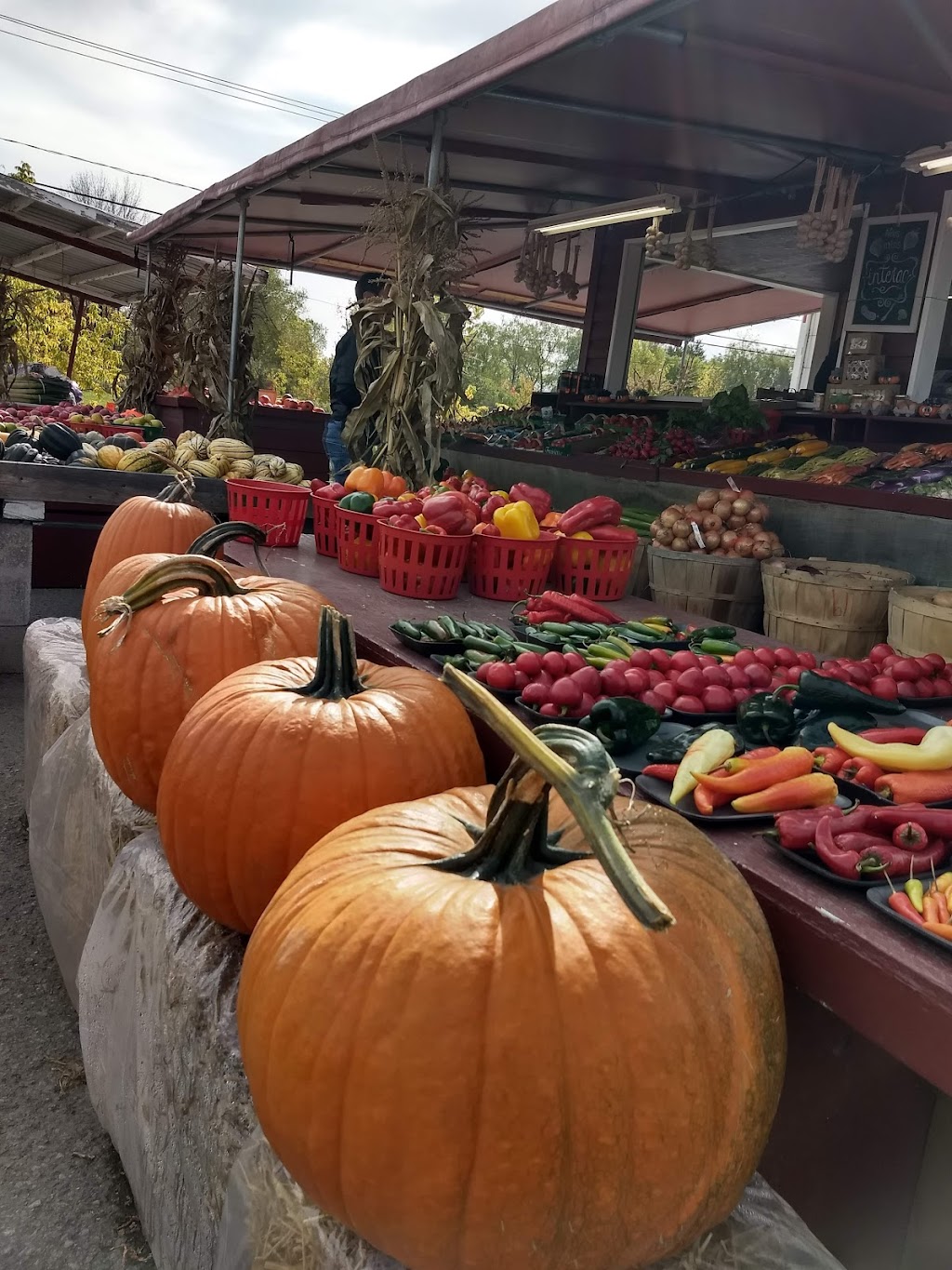 La Cabane à Guillaume | 1 Rang Saint-Régis N, Saint-Isidore-de-Laprairie, QC J0L 2A0, Canada | Phone: (514) 991-8386