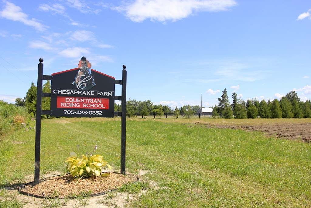 Chesapeake Farm Canada | 4159 Concession Rd 9 Sunnidale, Stayner, ON L0M 1S0, Canada | Phone: (705) 428-0352