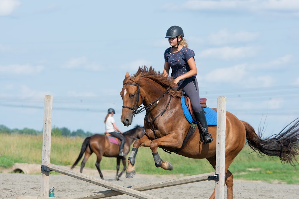 Equestrian Center Drummond S.e.n.c. | 1220, 3e rang-de-Wendover-Sud, Saint-Cyrille-de-Wendover, QC J1Z 1X2, Canada | Phone: (819) 477-0738