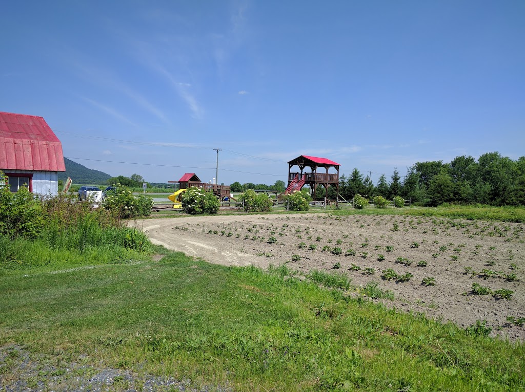 Ferme Paul Benoit | 2325 Rang de la Rivière S, Saint-Jean-Baptiste, QC J0L 2B0, Canada | Phone: (450) 464-0457