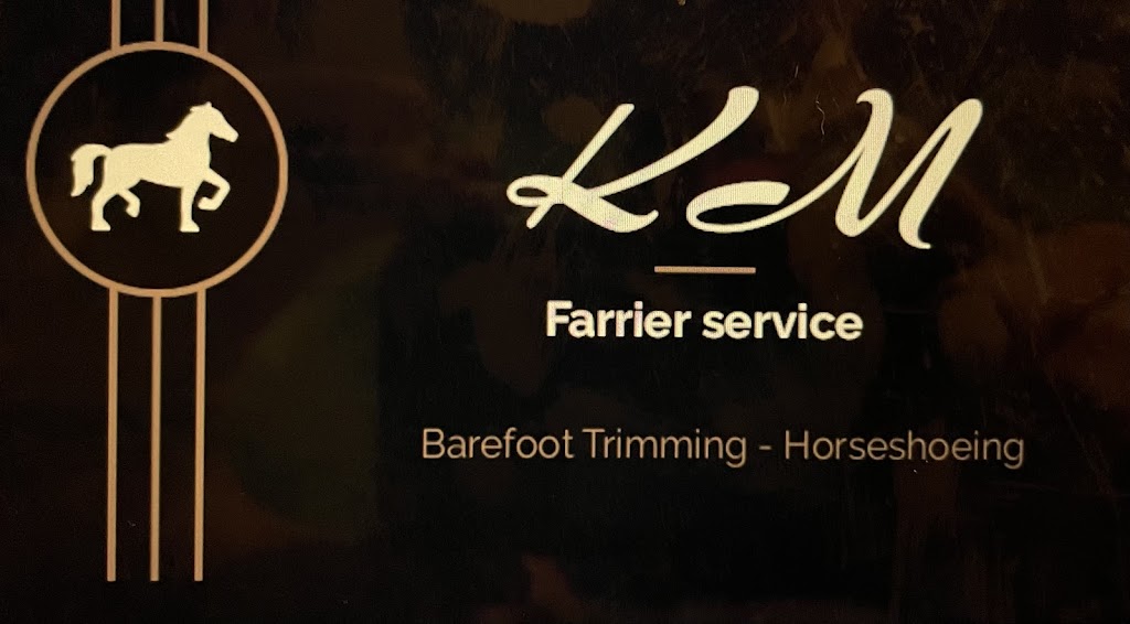 KM Farrier Service | 5620 Thomson Rd, Pugwash Junction, NS B0K 1M0, Canada | Phone: (902) 664-4775