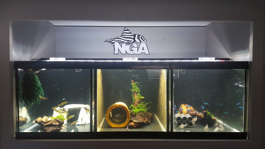 Next Gen Aquatics | 164 Donald Ave, York, ON M6M 1K4, Canada | Phone: (647) 580-9228