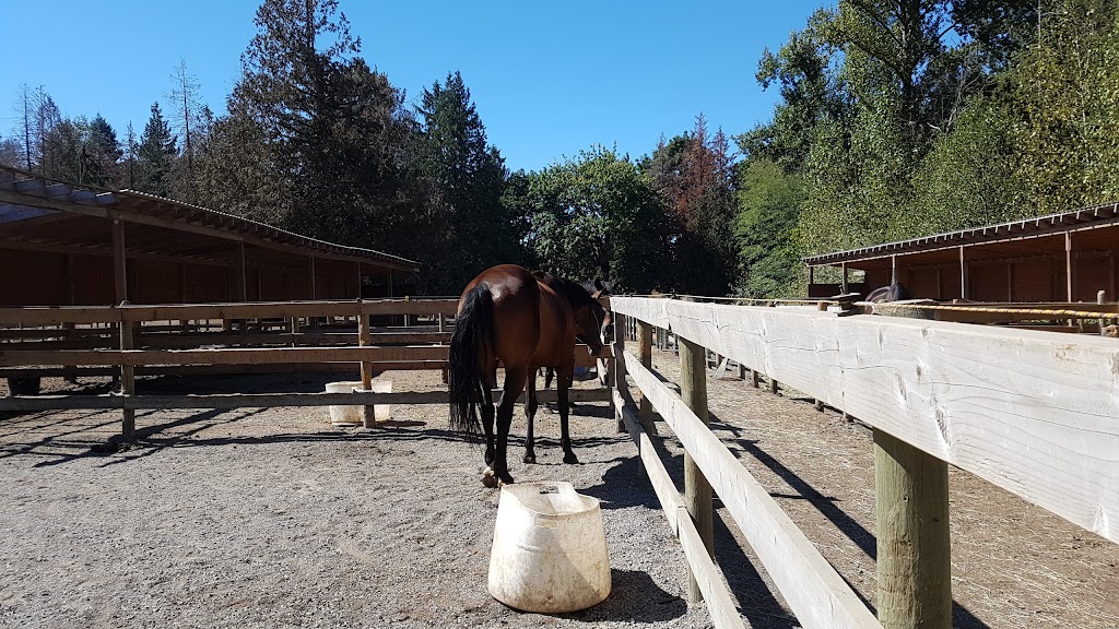 A & T Equestrian Centre | 4615 190 St, Surrey, BC V3Z 1B2, Canada | Phone: (604) 574-3211