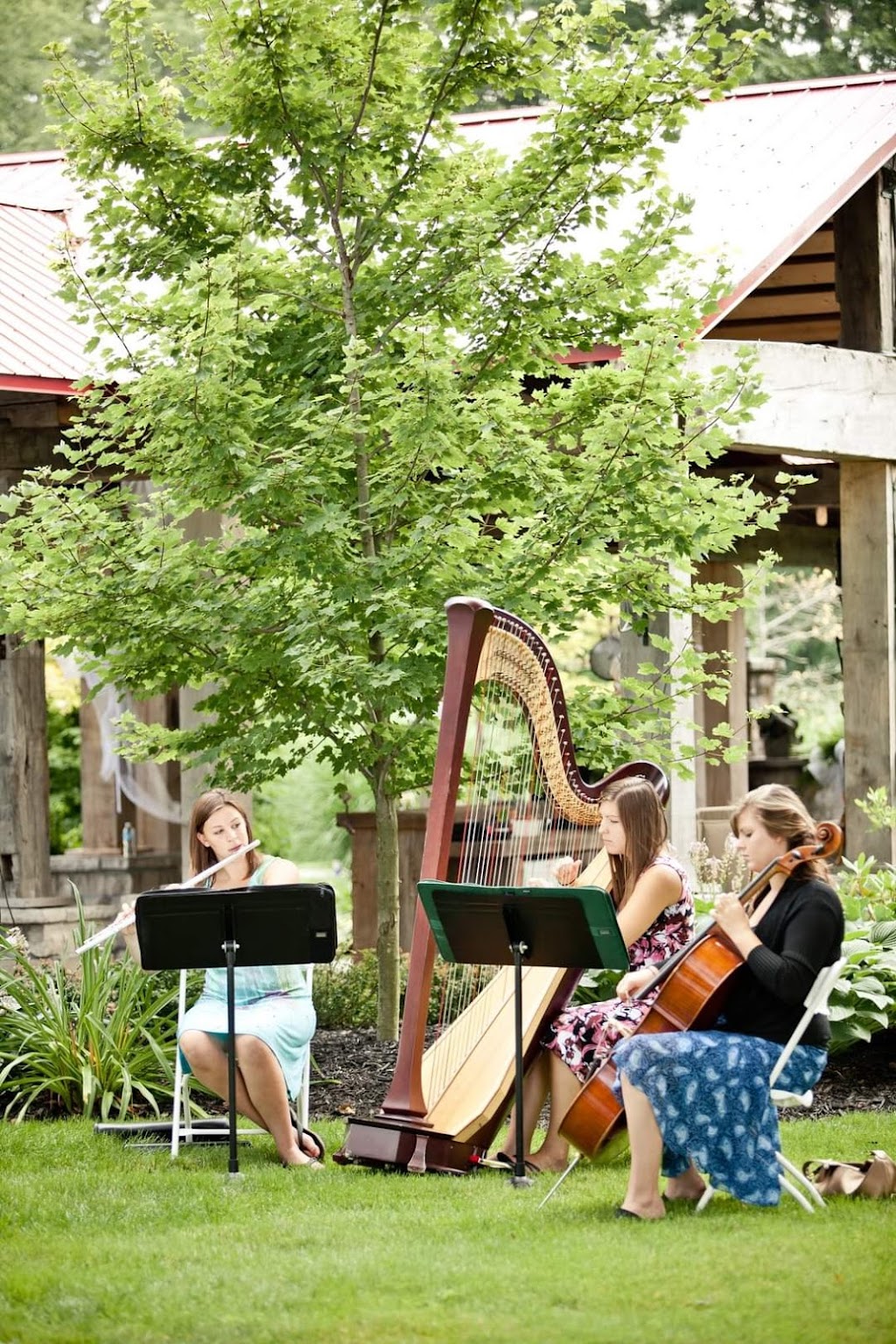 The Soenen Sisters Music - Harp Flute and Cello | 48 Kerr-Shaver Terrace, Brantford, ON N3T 6H8, Canada | Phone: (905) 818-4676