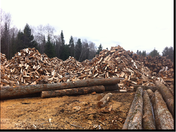 Larry Miscio Logging & Firewood Sales | 1382 Eagle Lake Rd, Eagle Lake, ON K0M 1M0, Canada | Phone: (705) 754-3762