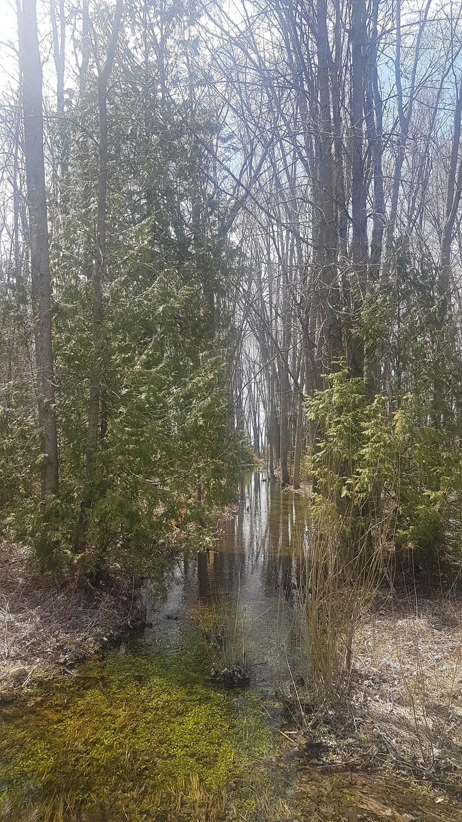 Gerties Creek | Chief Joseph Snake Rd, Georgina Island, ON L0E 1L0, Canada