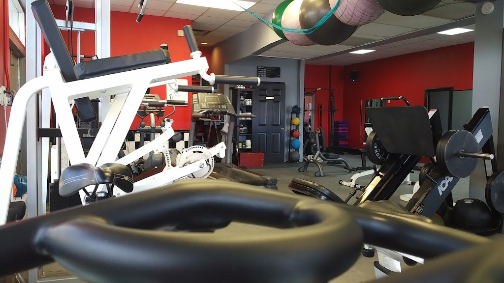 LiV Personal Training Studio | 350 Scott St suite 206, St. Catharines, ON L2N 6T4, Canada | Phone: (905) 688-7447