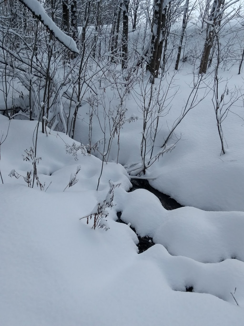 Parc Ruisseau Du Moulin | 2060 Rue Blanche-Lamontagne, Québec, QC G1C 8B8, Canada