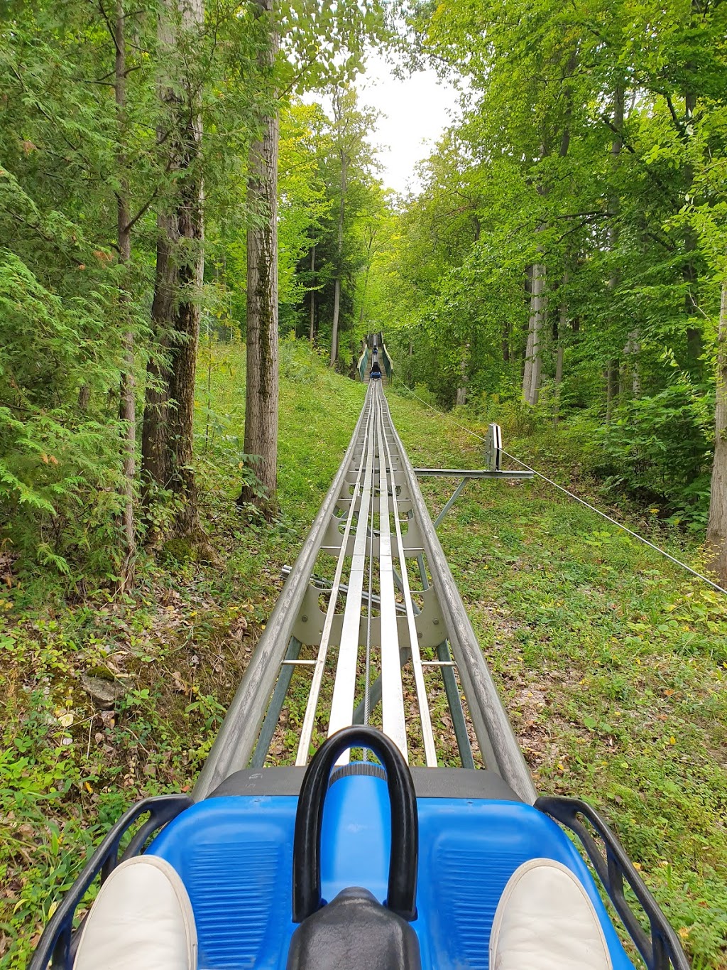 Ridge Runner Mountain Coaster | 150 Jozo Weider Blvd Unit AY2, The Blue Mountains, ON L9Y 0P7, Canada | Phone: (833) 583-2583