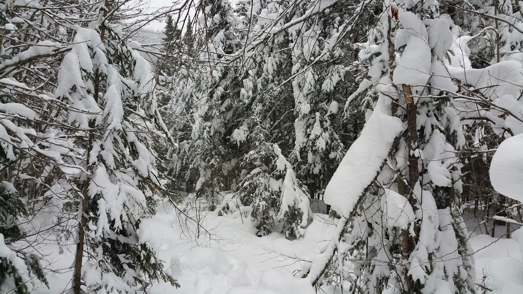 Sentiers du Moulin | 99 Chemin du Moulin, Lac-Beauport, QC G3B 0E1, Canada | Phone: (418) 849-9652