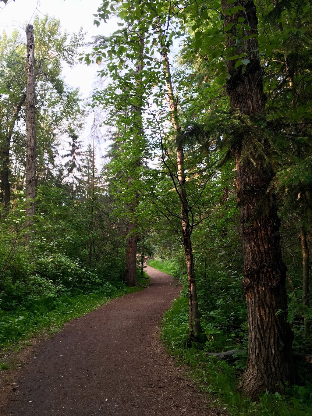 Whitemud Creek Stairs #250 | Unnamed Road, Edmonton, AB T6J 2C8, Canada