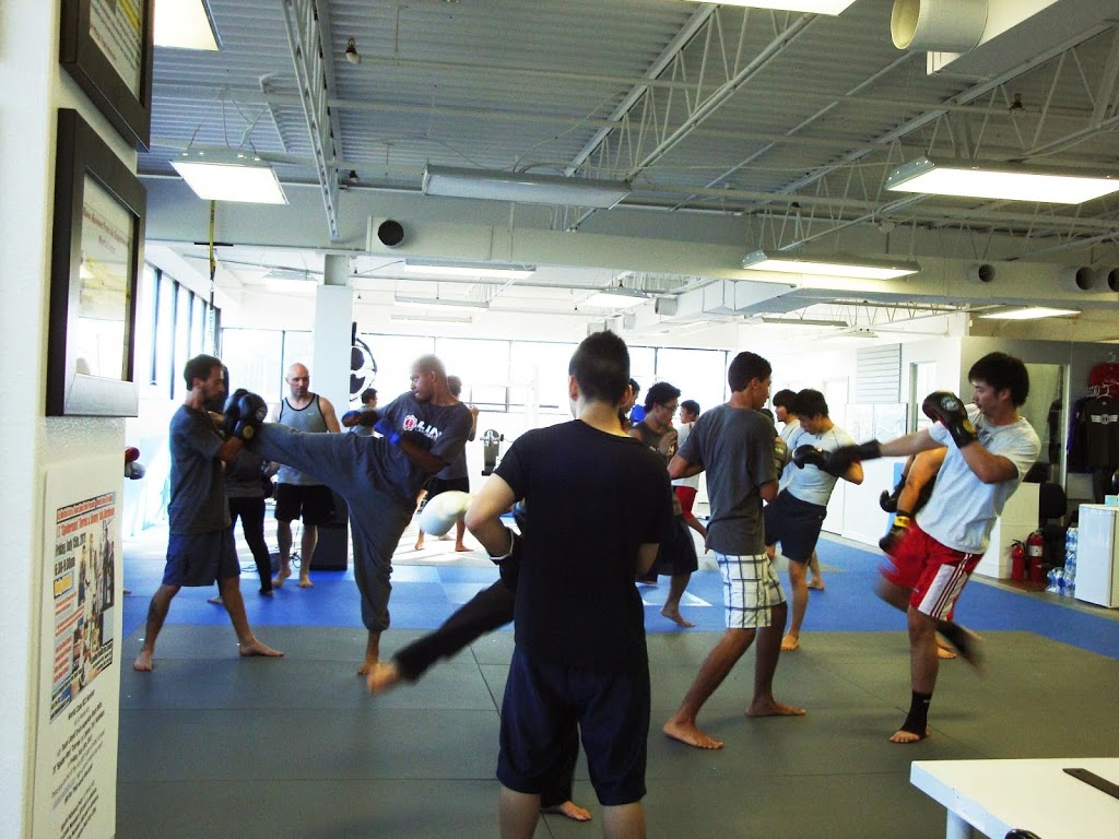 Lin Martial Arts | 100 Steelcase Rd E suite 201, Markham, ON L3R 1E8, Canada | Phone: (905) 213-9260