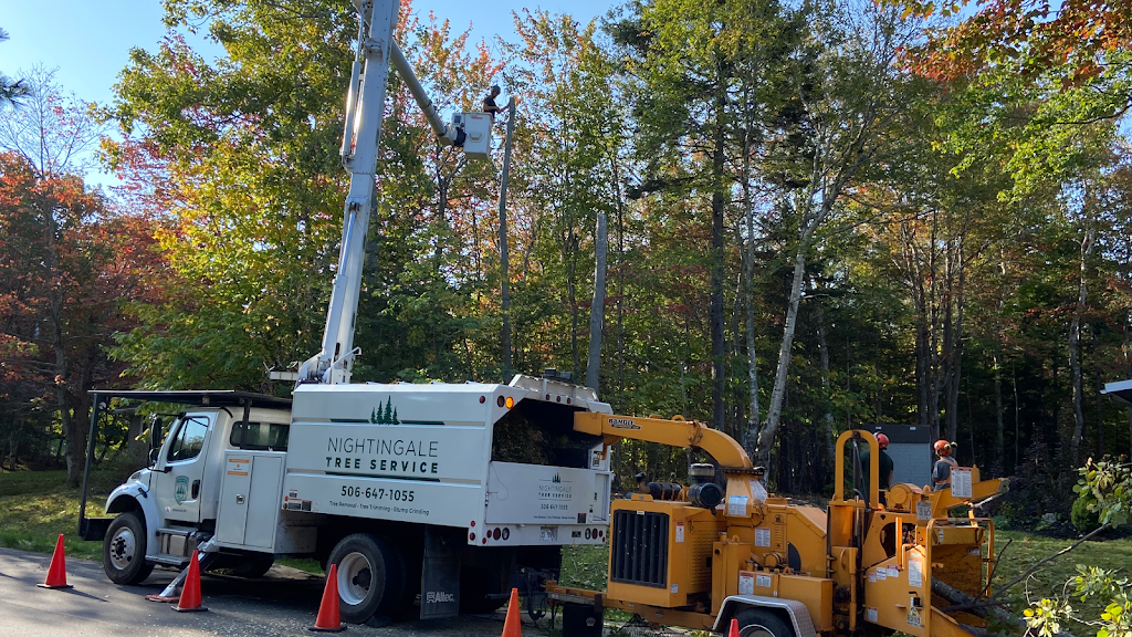 Nightingale Tree Service | 16 Nightingale Ln, Quispamsis, NB E2E 3T1, Canada | Phone: (506) 647-1055