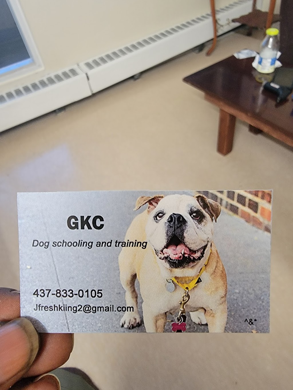 GKCBULLDOG | 26 Callender St #0, Toronto, ON M6R 2H3, Canada | Phone: (437) 259-6947