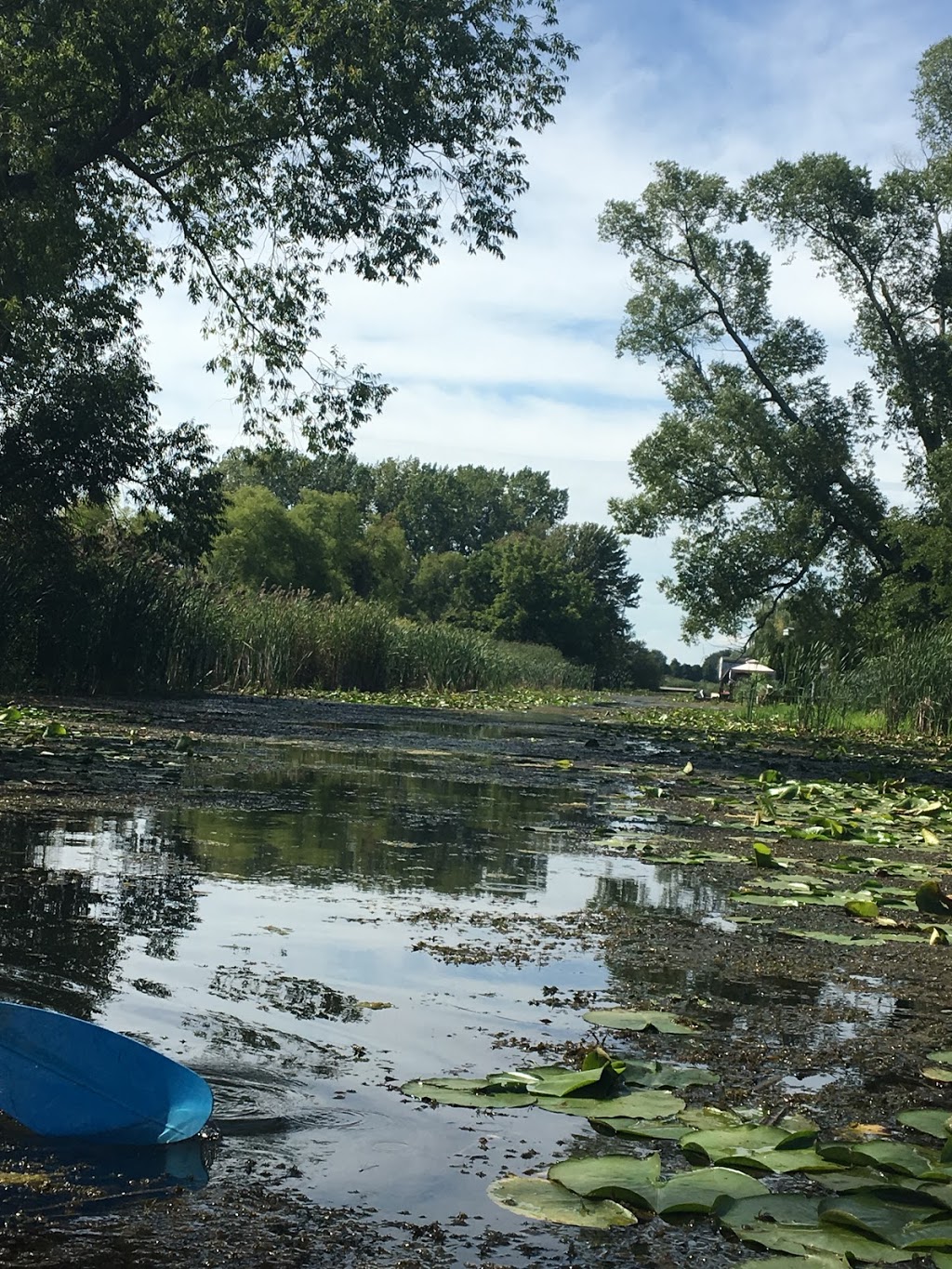 Shrewsbury Bait & kayaks | 105 Brock St, Blenheim, ON N0P 1A0, Canada | Phone: (519) 350-4518