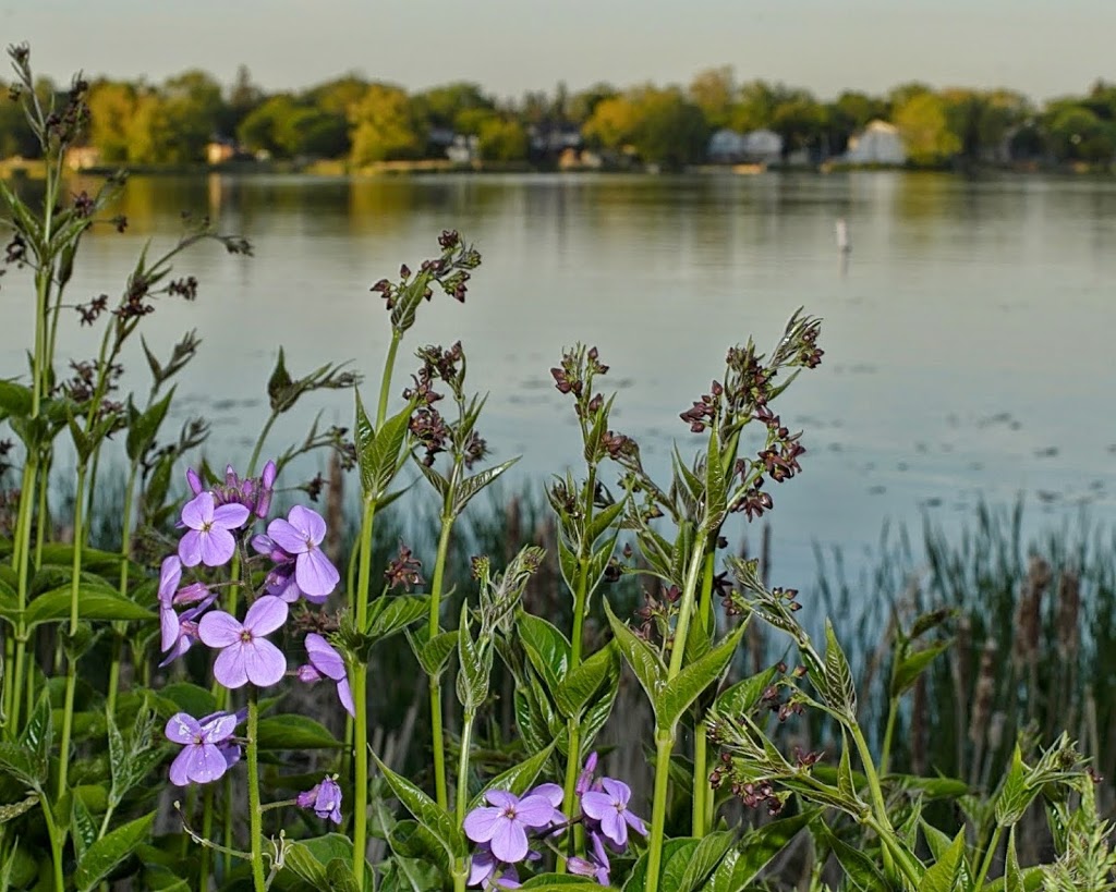 Bruce Hanscombe Memorial Park | Pickering, ON, Canada