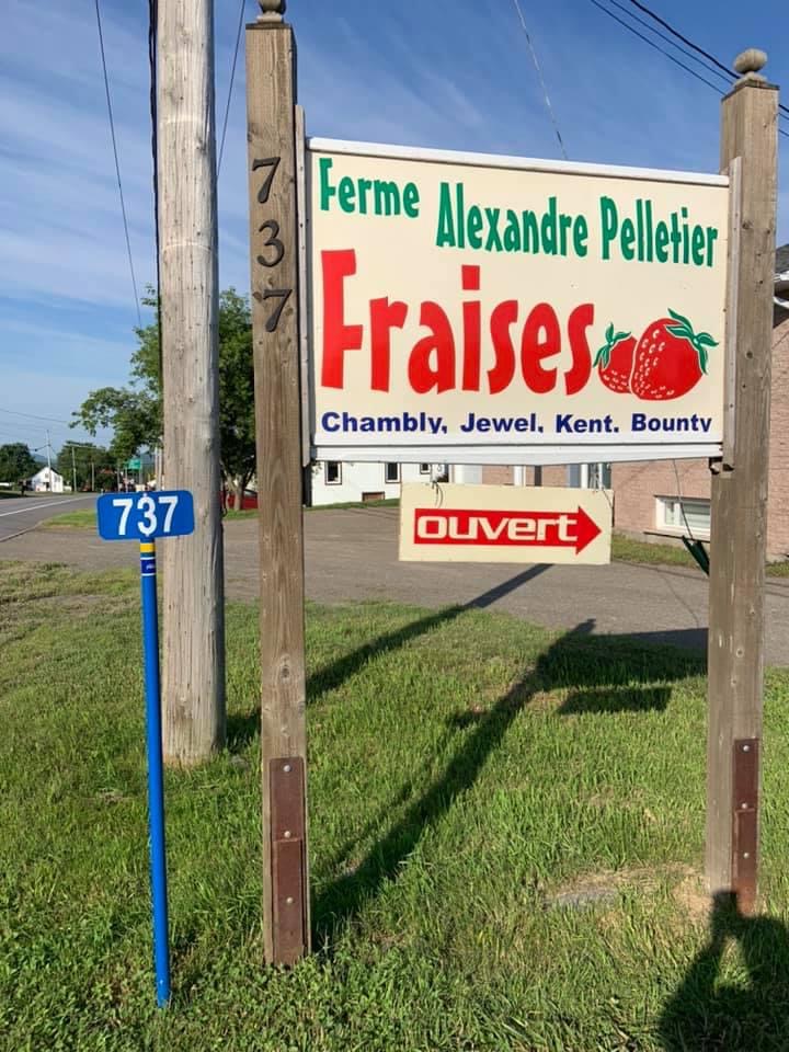 Ferme Alexandre Pelletier | 735 route 230 est, Saint-Pascal, QC G0L 3Y0, Canada | Phone: (418) 492-3571