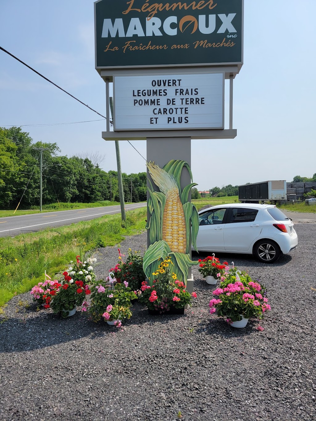 Légumier Marcoux Inc. | 2525 QC-132, Saint-Nicolas, QC G7A 4H7, Canada | Phone: (418) 496-3600