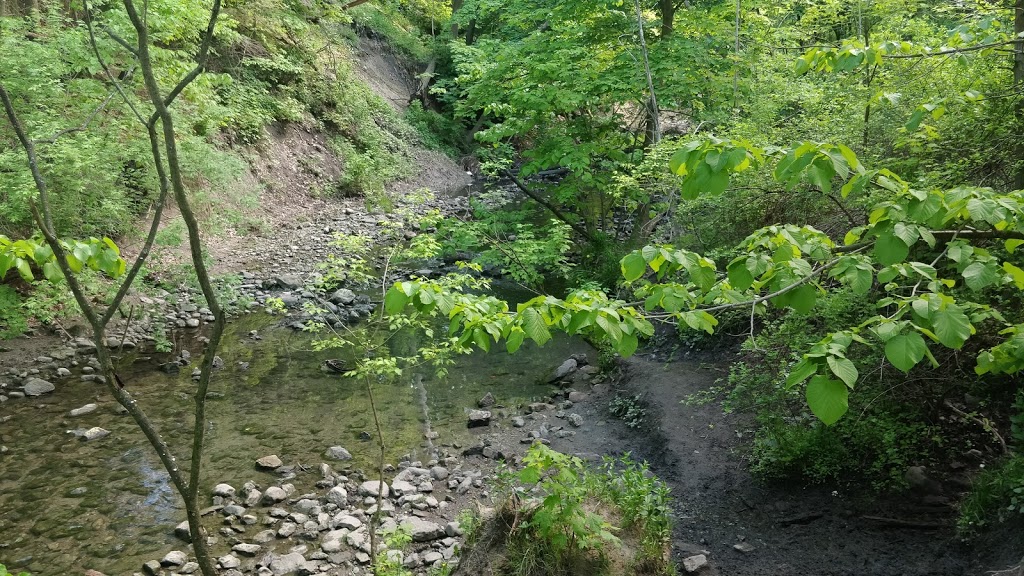 Sherwood park trail | Unnamed Road, Toronto, ON M4P 2B8, Canada