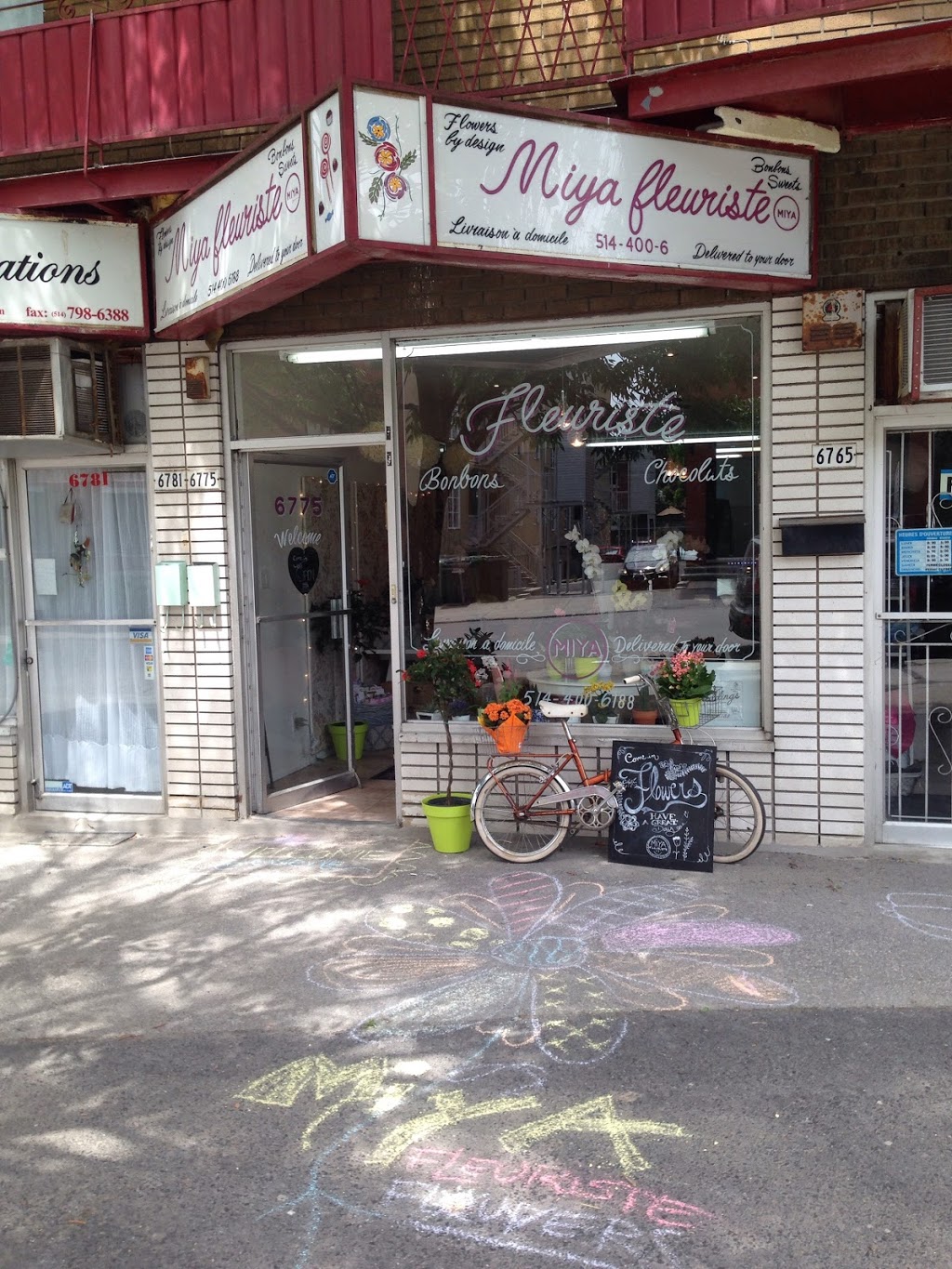 MIYA florist | 6775 Avenue de Darlington, Montréal, QC H3S 2J7, Canada | Phone: (514) 400-6188