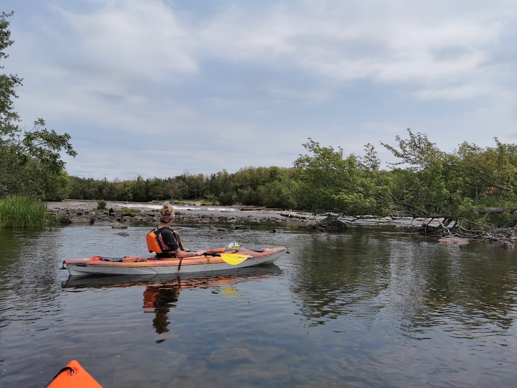 Crowe Bridge Conservation Area | 670 Crowe River Rd, Marmora, ON K0K 2M0, Canada | Phone: (705) 653-1900