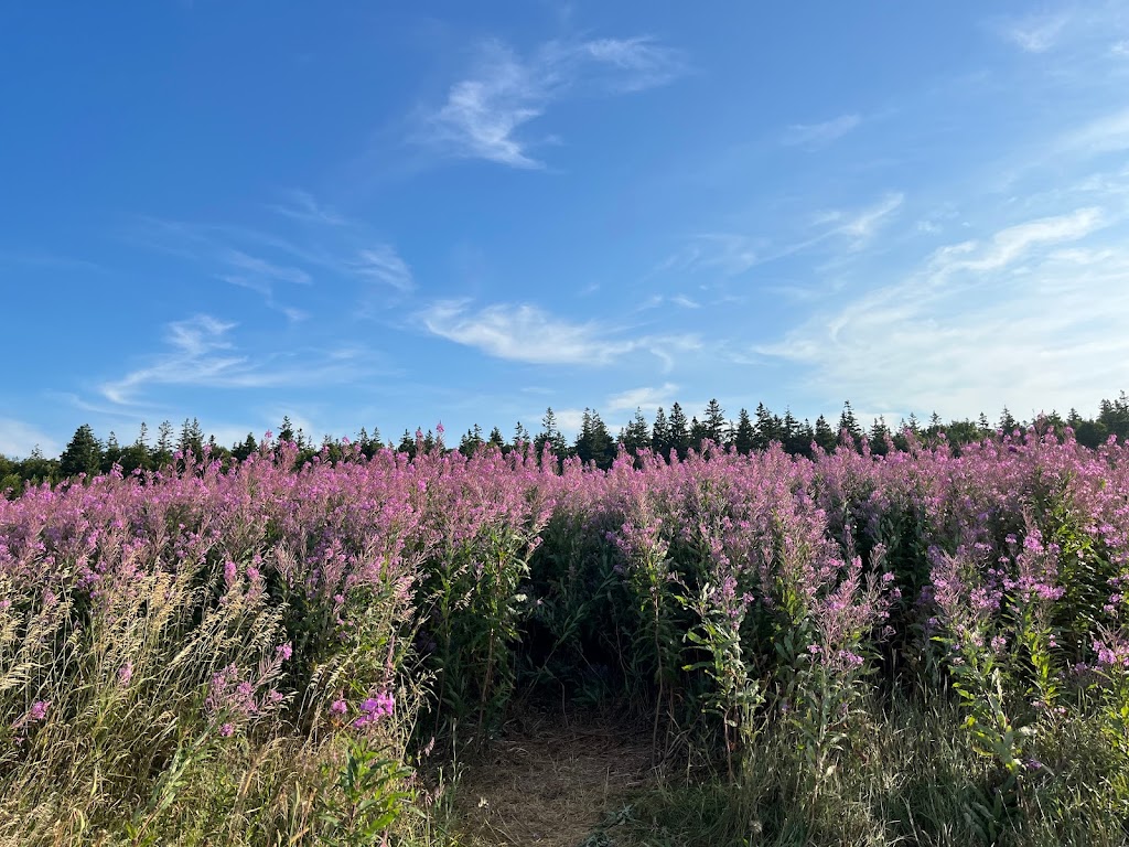 Greenwich, Prince Edward Island National Park | Greenwich Rd, Greenwich, PE C0A 2A0, Canada | Phone: (902) 672-6350