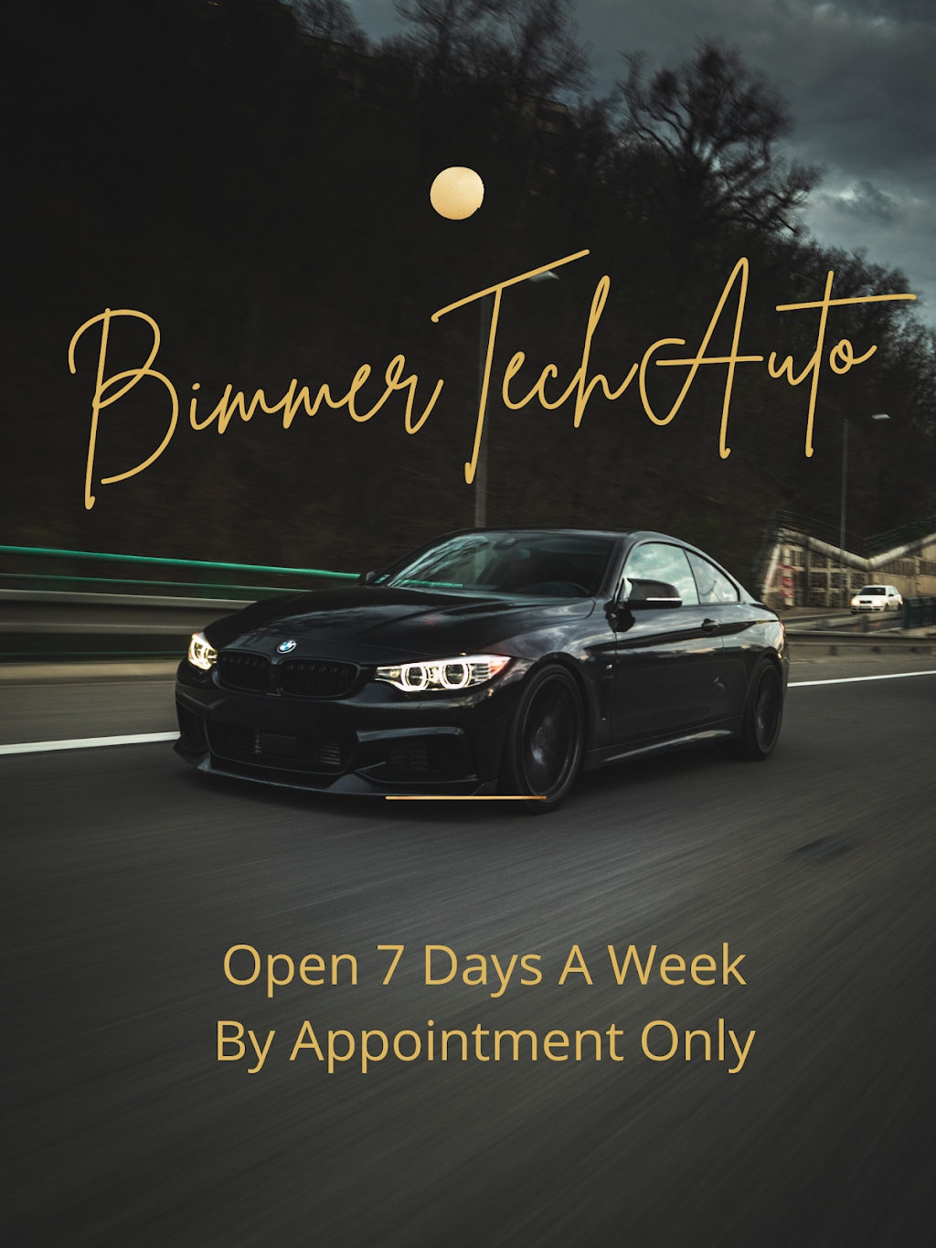 Bimmer Tech Auto | 57 Newkirk Rd Unit #7, Richmond Hill, ON L4C 1A9, Canada | Phone: (647) 864-3289