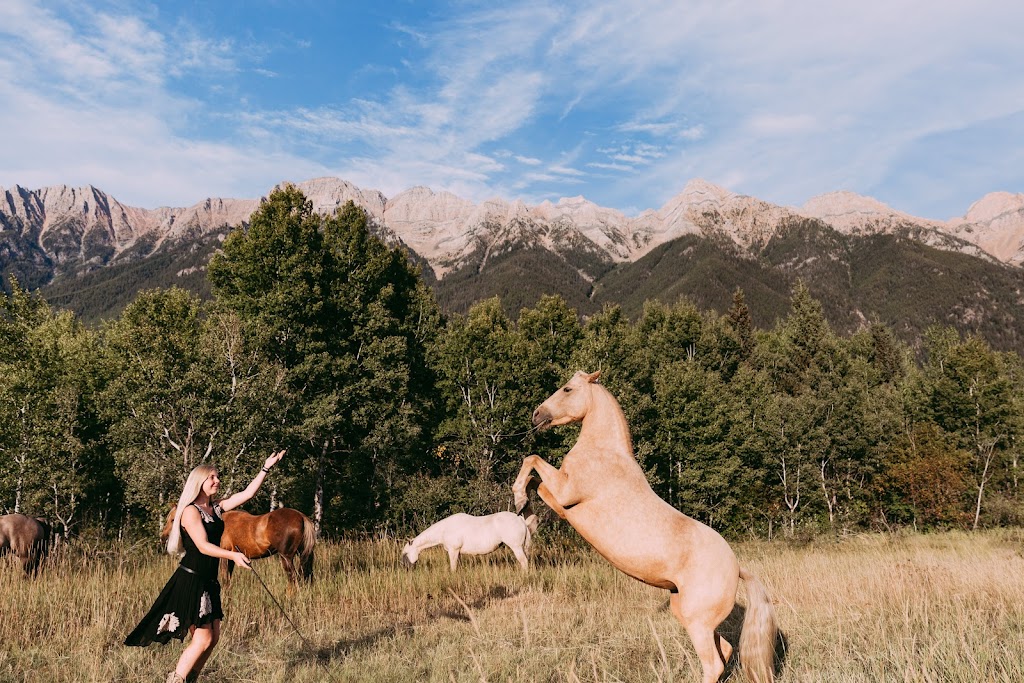 Freespirit Horsemanship | Hwy 3, BC-93, East Kootenay, BC V0B 1T0, Canada | Phone: (250) 417-6974