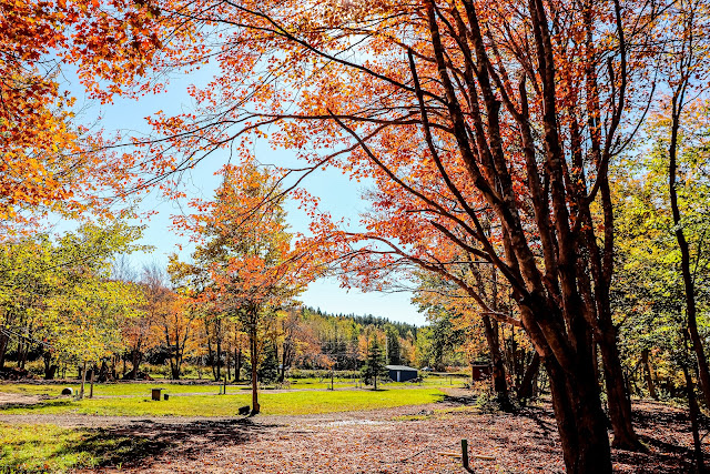 Maple Meadows Campground | 14219 Ceilidh Trail, Strathlorne, NS B0E 1N0, Canada | Phone: (902) 903-2527