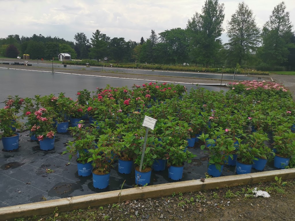 NVK Nurseries | 1155 ON-5, Dundas, ON L9H 5E2, Canada | Phone: (905) 628-0112