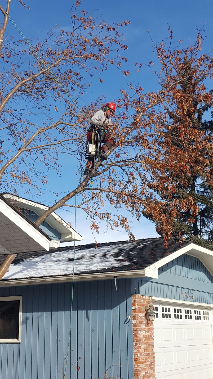 Mountain Country Tree Care | 67 Knight Pl, Crossfield, AB T0M 0S0, Canada | Phone: (403) 836-5765