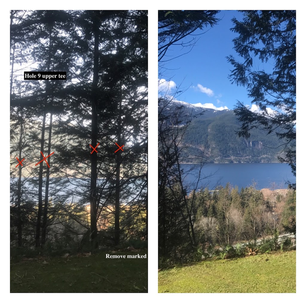 Windfirm Tree Services Ltd | Box 431, 38064 Cleveland Ave, Squamish, BC V8B 0A4, Canada | Phone: (604) 892-7587