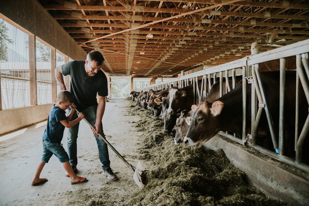 Creekside Cheese + Creamery | 3990 Chaplin Rd, Agassiz, BC V0M 1A2, Canada | Phone: (604) 796-8485