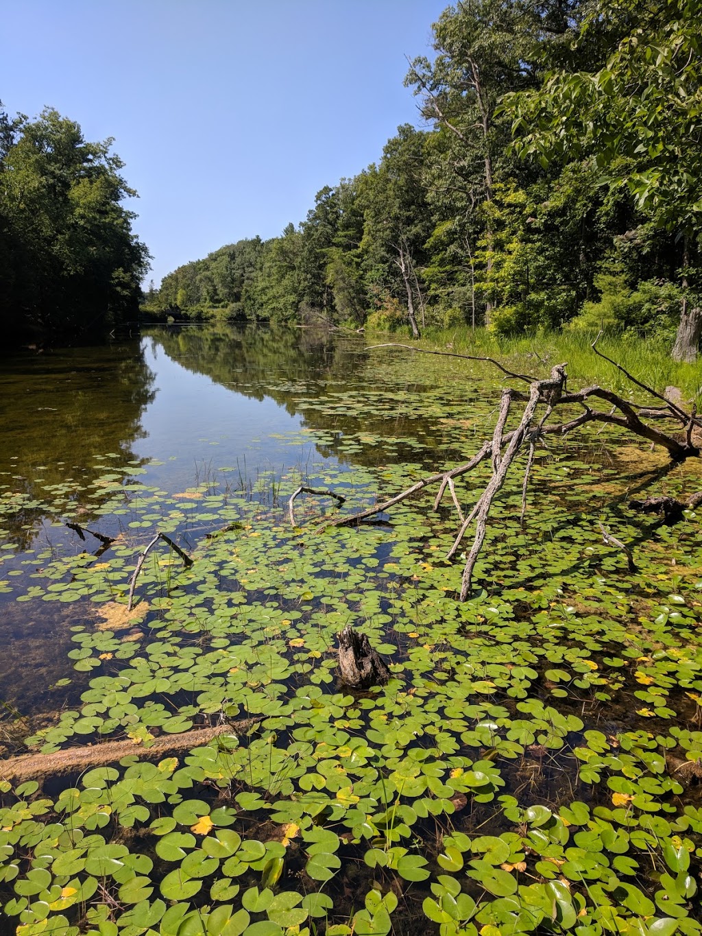 Bittersweet Trail | 26 Sideroad, Grand Bend, ON N0M 1T0, Canada