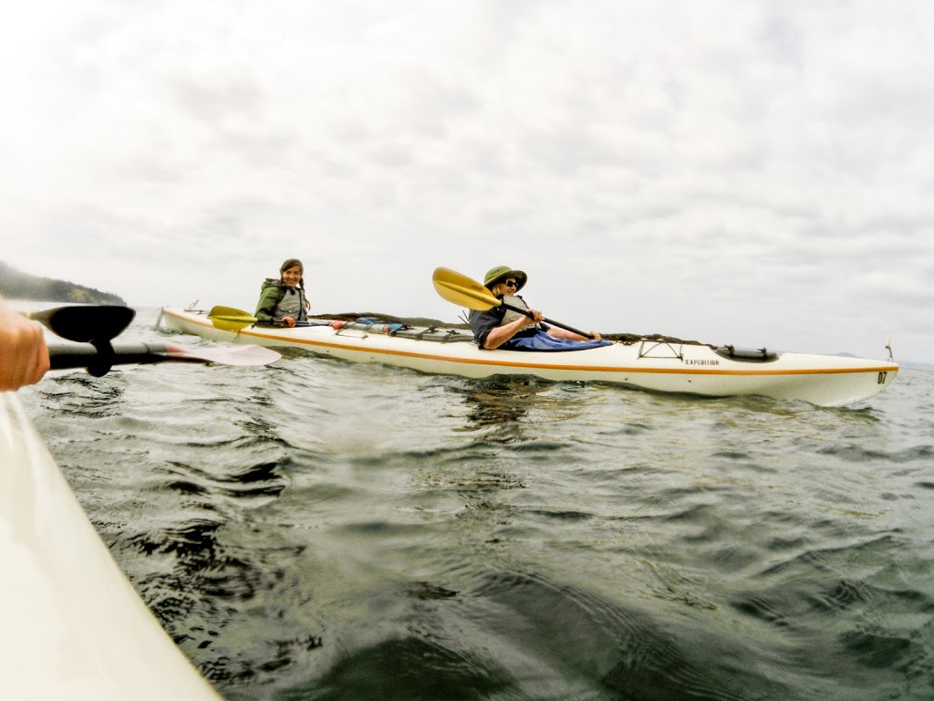 Outdoor Odysseys Kayak Tours | 86 Cedar St, Friday Harbor, WA 98250, USA | Phone: (360) 378-3533