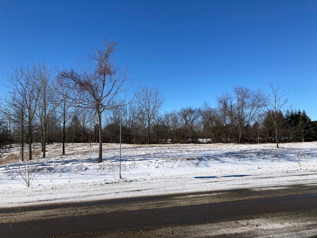 Handy Bulldozing & Brush Control | 29559 Highway 28 Soth, Bancroft, ON K0L 1C0, Canada | Phone: (613) 334-8726