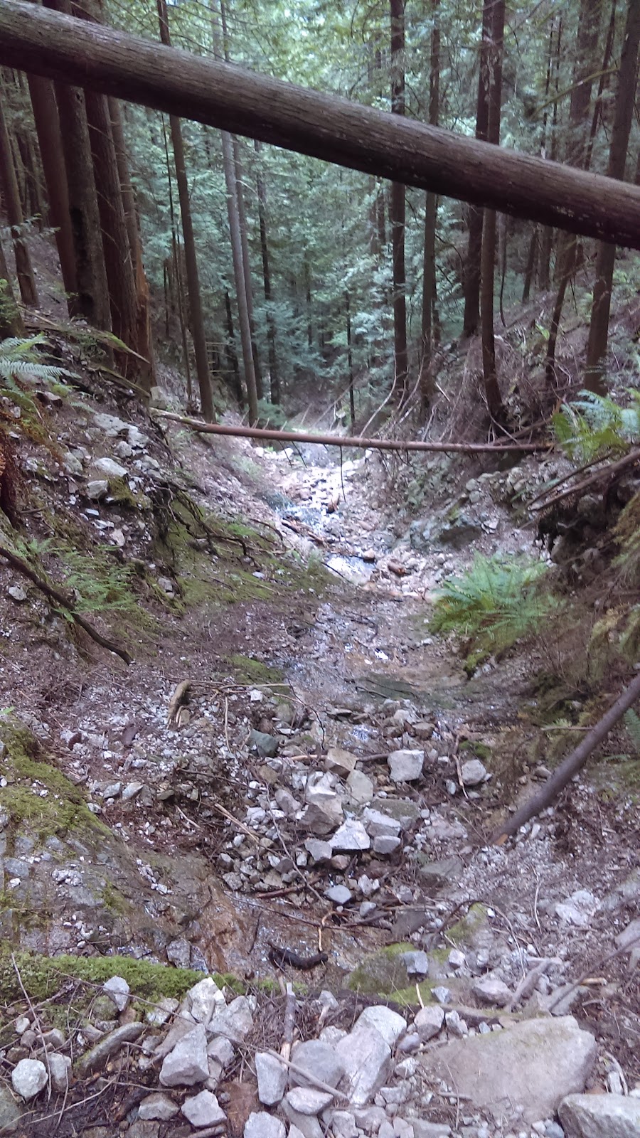 Baden Powell Trail | Baden Powell Trail, North Vancouver, BC V7R 4X4, Canada