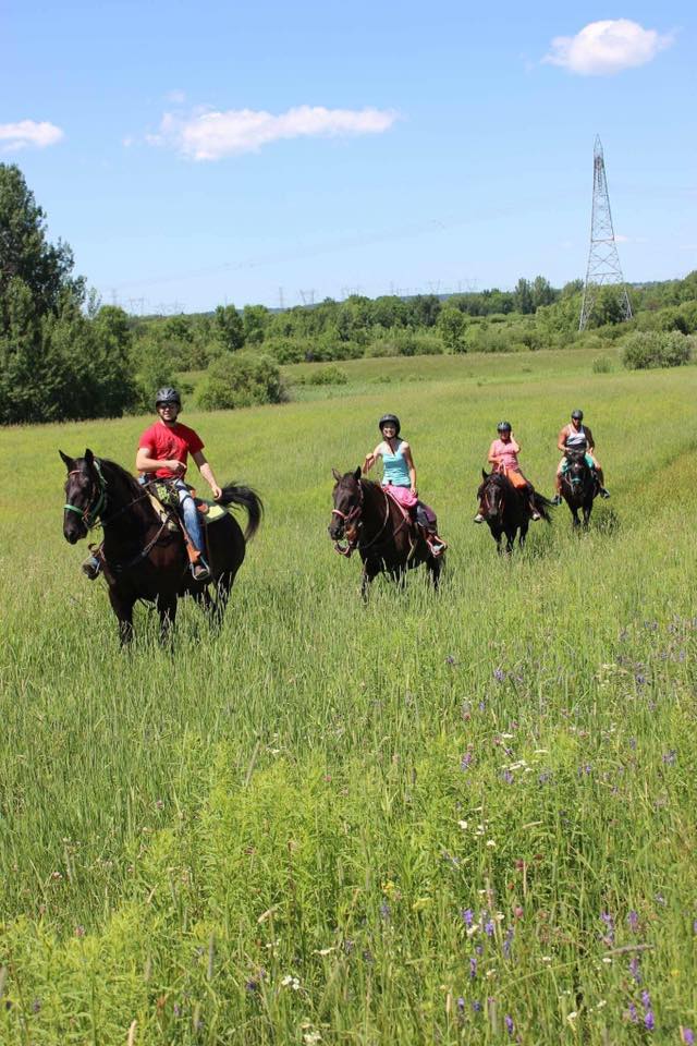 Équitation Mel Gauthier M.M.G. | 1221 Chemin Pincourt, Mascouche, QC J7L 2X8, Canada | Phone: (514) 625-5534