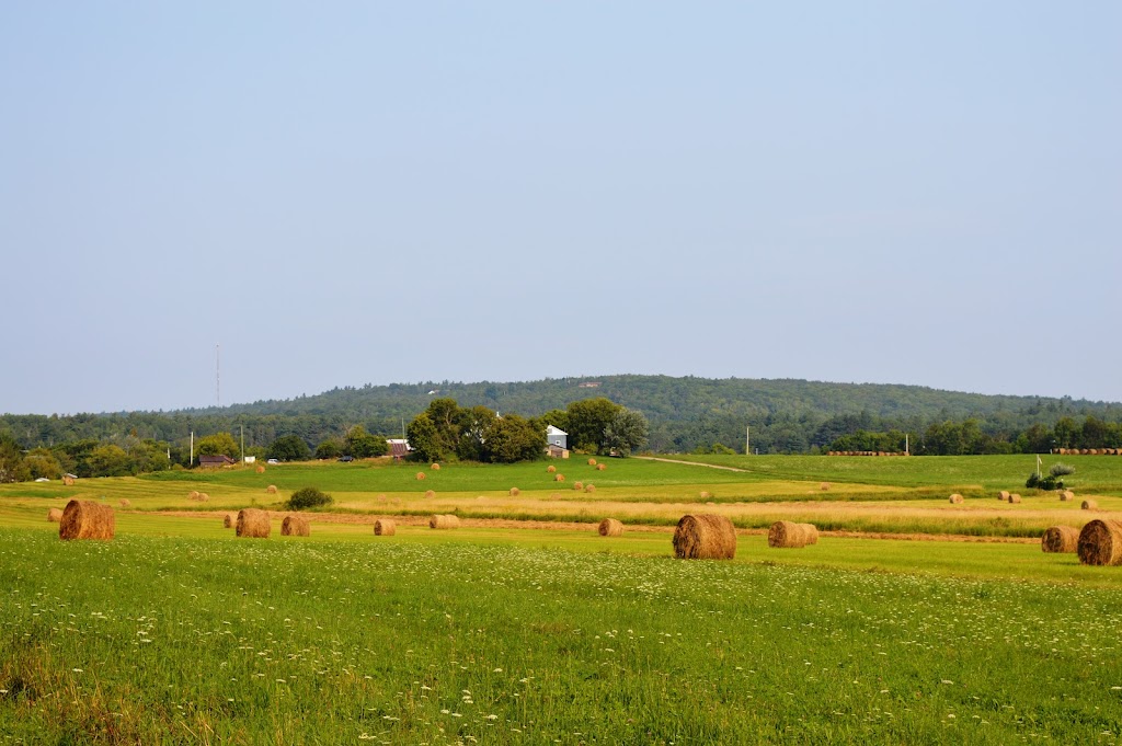 Mask Island Farm | 94 Mask Island Dr, Barrys Bay, ON K0J 1B0, Canada | Phone: (416) 435-2230