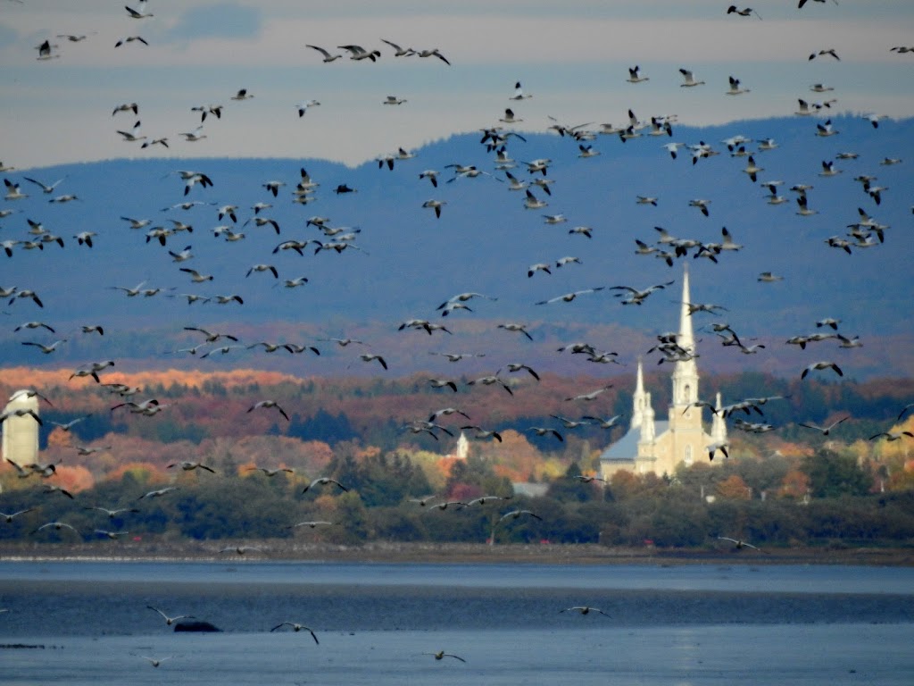 Église catholique Saint-Ignace | 148 Rue du Manoir E #90, Cap-Saint-Ignace, QC G0R 1H0, Canada | Phone: (418) 246-5328