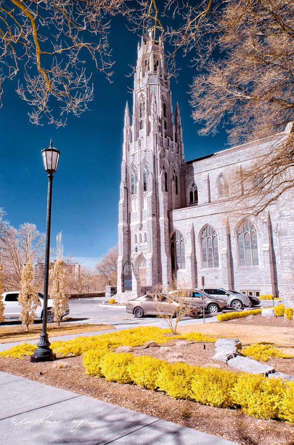 Cathedral Basilica of Christ the King | 714 King St W, Hamilton, ON L8P 1C7, Canada | Phone: (905) 522-5744