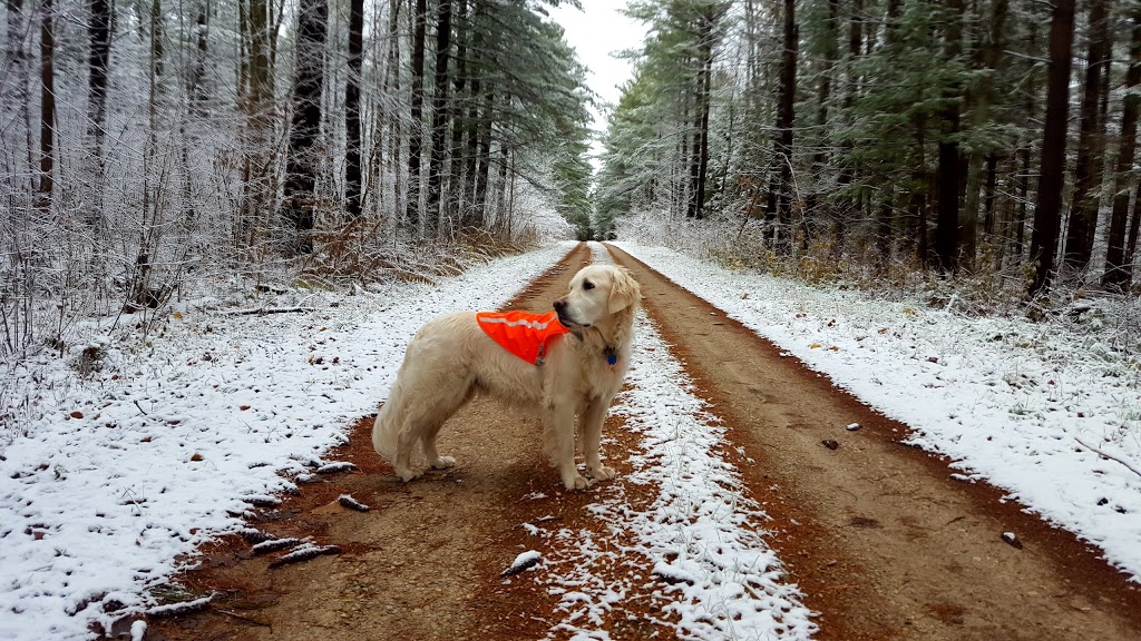 Luther Marsh Wildlife Management Area | 034588 21 Side Road, Grand Valley, ON L9W 0H2, Canada | Phone: (519) 928-2832