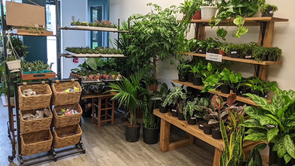 House of Plants | 38 Auriga Dr, Ottawa, ON K2E 8A5, Canada | Phone: (613) 421-8877