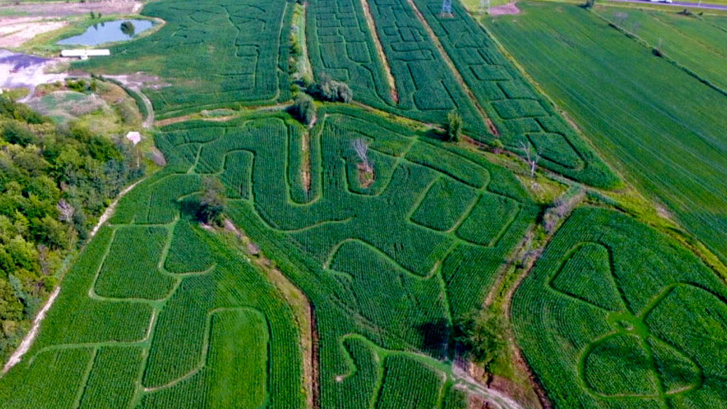 Labyrinthe Galaxie | 30 Mnt des Quarante-Deux, Sainte-Julie, QC J3E 1Y1, Canada | Phone: (450) 649-1777